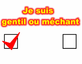 je  suis
