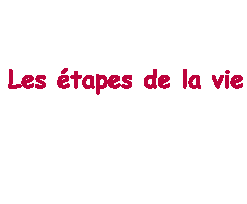 le  mariage