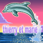 t et m